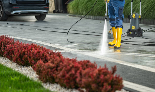 Professional Pressure Washing in Poplar Grove, IL